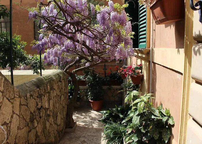 Pavia 3*