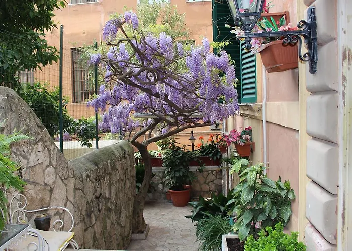 Pavia 3*